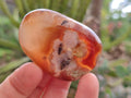 Polished Flower Agate Palm Stones x 25 From Antsahalova, Madagascar