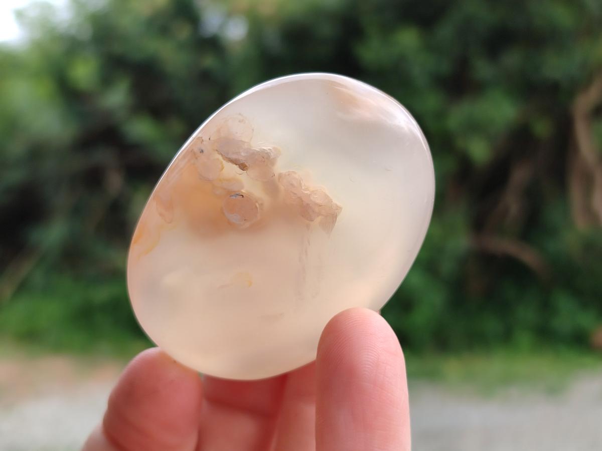 Polished Flower Agate Palm Stones x 25 From Antsahalova, Madagascar