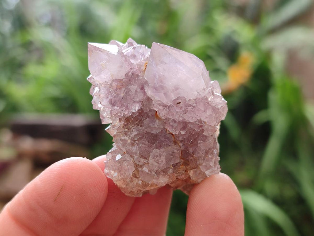 Natural Amethyst Spirit Crystals x 21 From Boekenhouthoek, South Africa