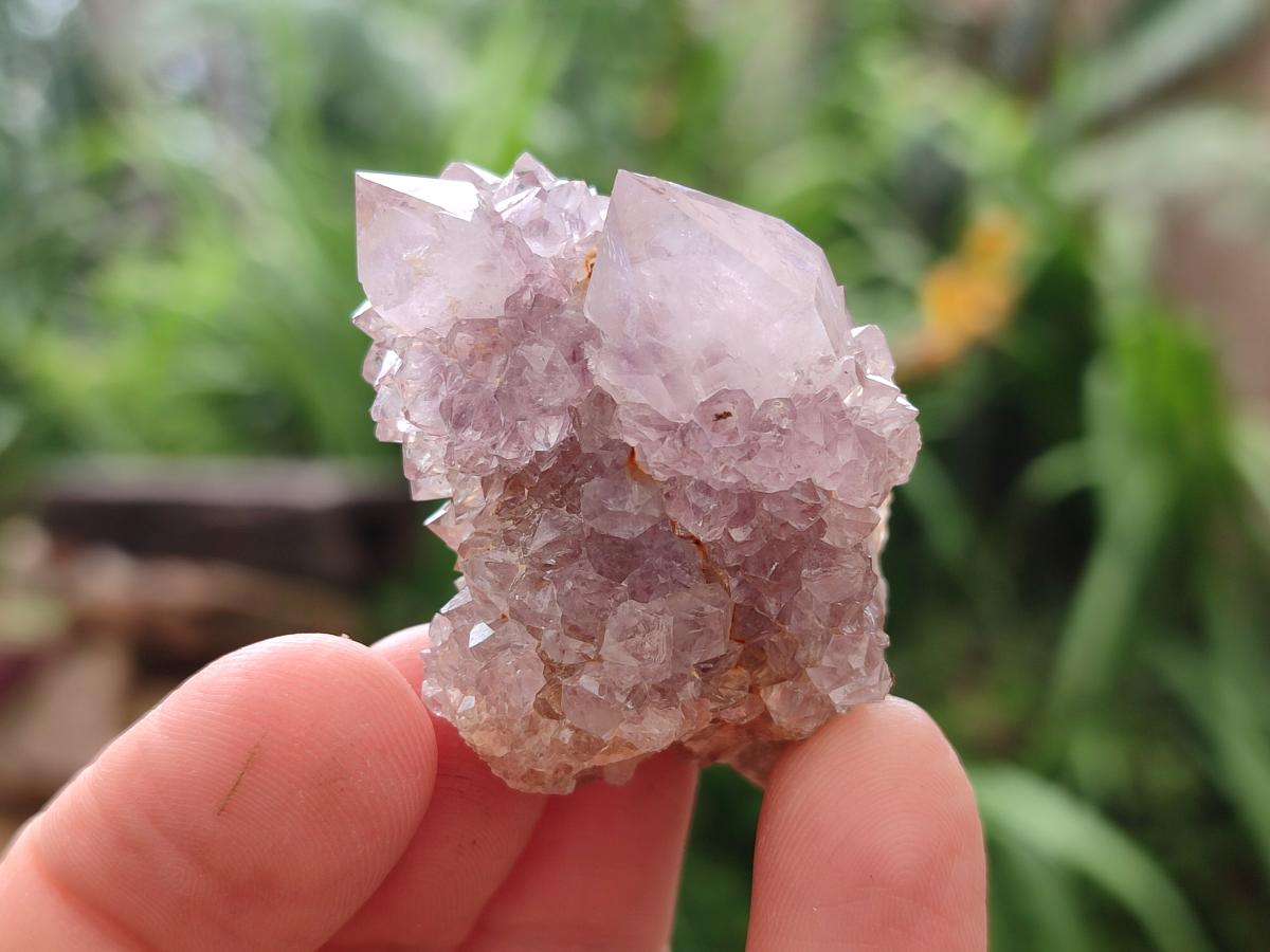 Natural Amethyst Spirit Crystals x 21 From Boekenhouthoek, South Africa