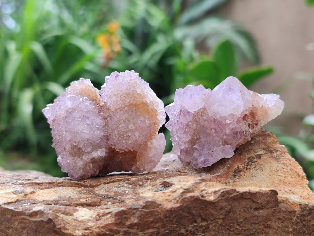 Natural Amethyst Spirit Crystals x 21 From Boekenhouthoek, South Africa