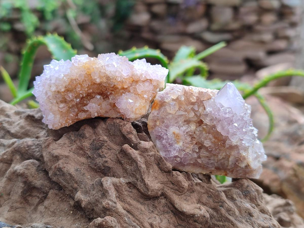 Natural Amethyst Spirit Crystals x 21 From Boekenhouthoek, South Africa