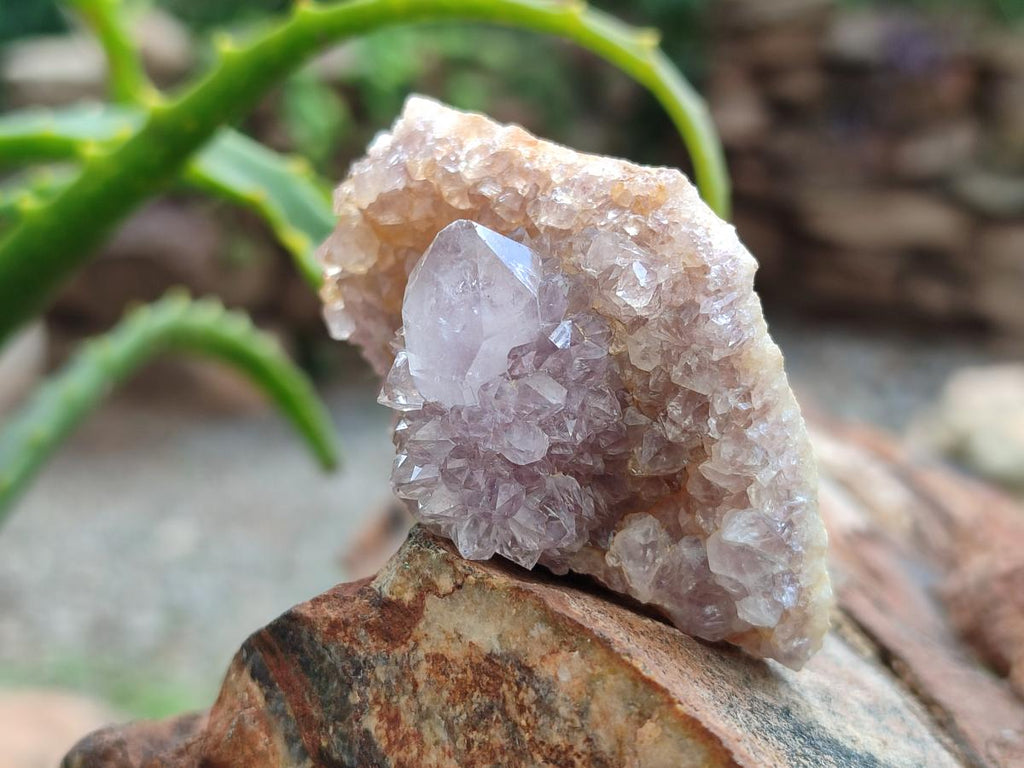 Natural Amethyst Spirit Crystals x 21 From Boekenhouthoek, South Africa