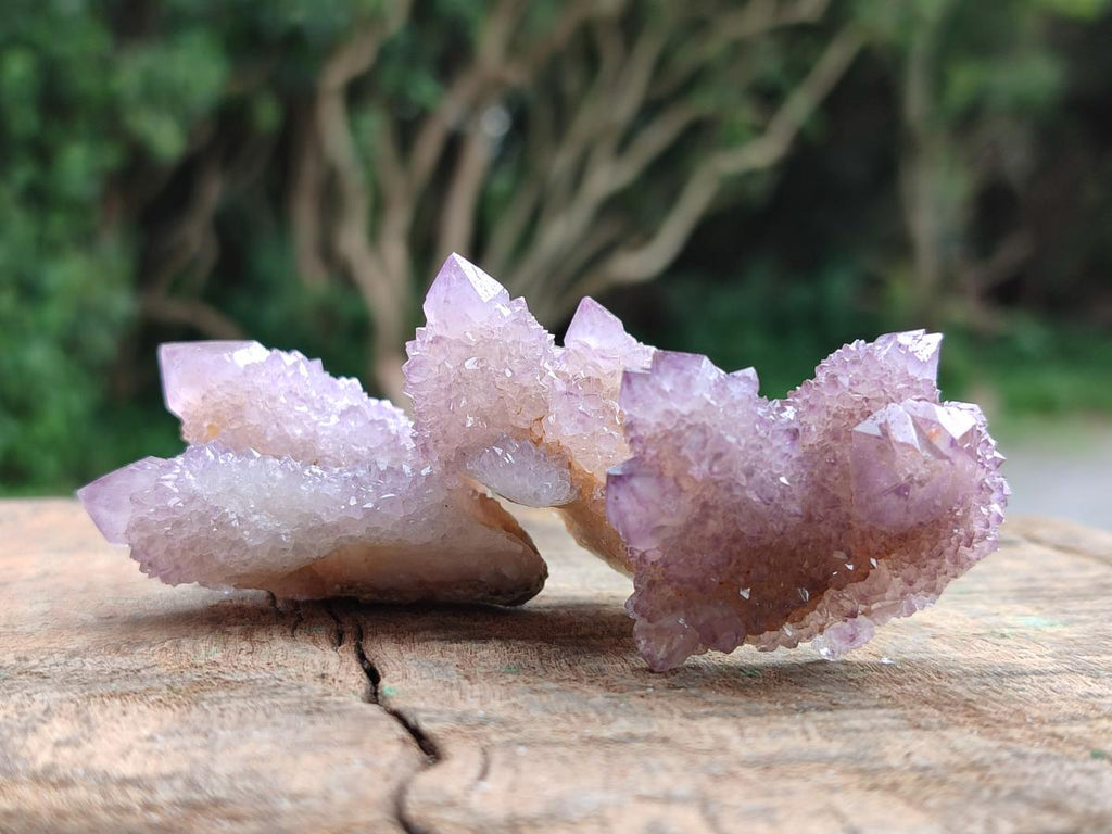 Natural Amethyst Spirit Crystals x 21 From Boekenhouthoek, South Africa