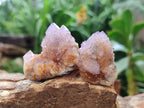 Natural Amethyst Spirit Crystals x 21 From Boekenhouthoek, South Africa