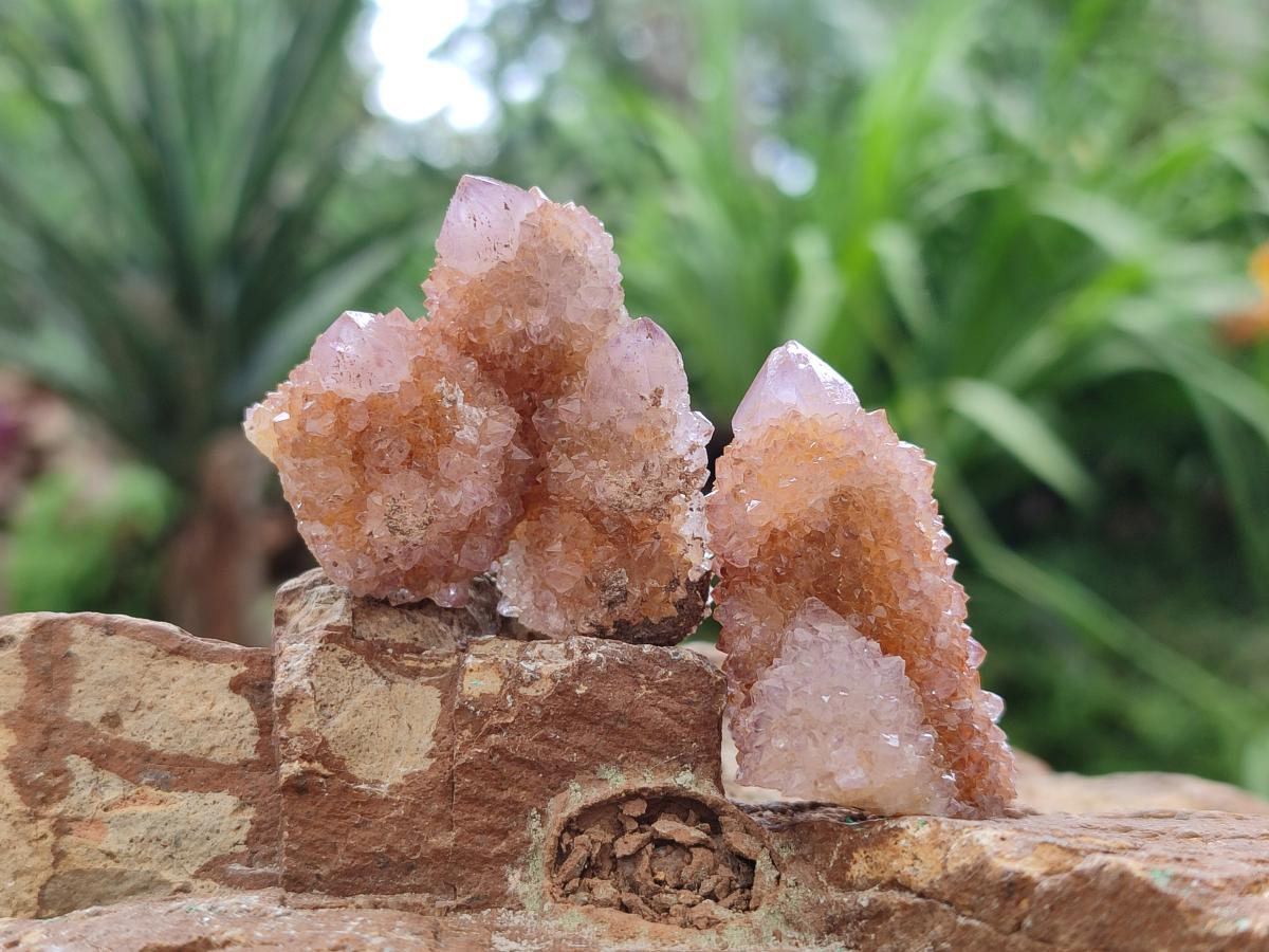 Natural Amethyst Spirit Crystals x 21 From Boekenhouthoek, South Africa