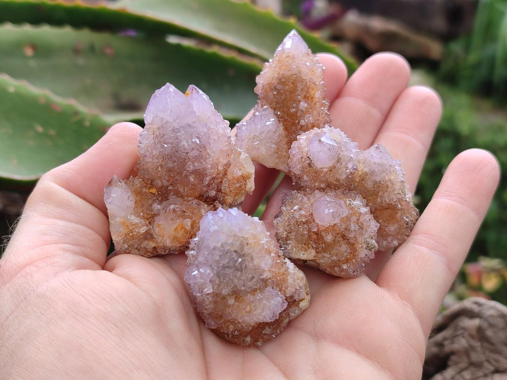 Natural Amethyst Spirit Crystals x 21 From Boekenhouthoek, South Africa