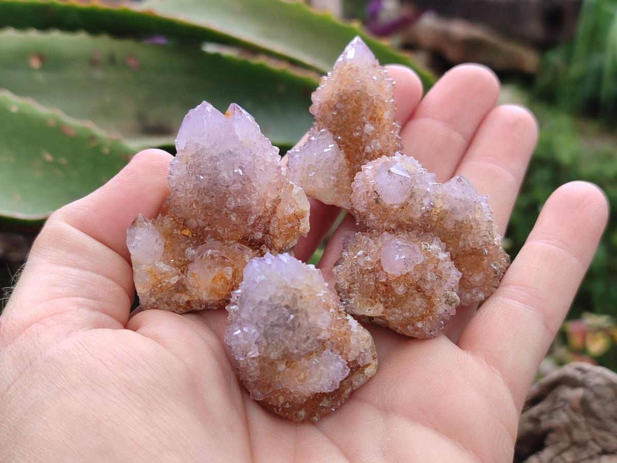 Natural Amethyst Spirit Crystals x 21 From Boekenhouthoek, South Africa