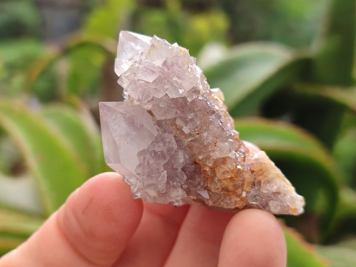 Natural Amethyst Spirit Crystals x 21 From Boekenhouthoek, South Africa