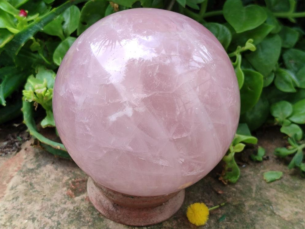Polished Large Gemmy Star Rose Quartz Sphere x 1 From Madagascar