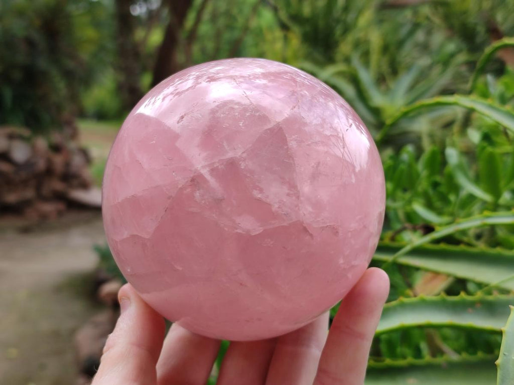 Polished Large Gemmy Star Rose Quartz Sphere x 1 From Madagascar