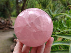 Polished Large Gemmy Star Rose Quartz Sphere x 1 From Madagascar