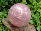Polished Large Gemmy Star Rose Quartz Sphere x 1 From Madagascar