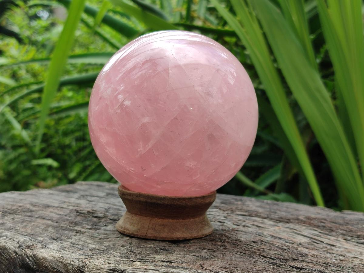 Polished Large Gemmy Star Rose Quartz Sphere x 1 From Madagascar