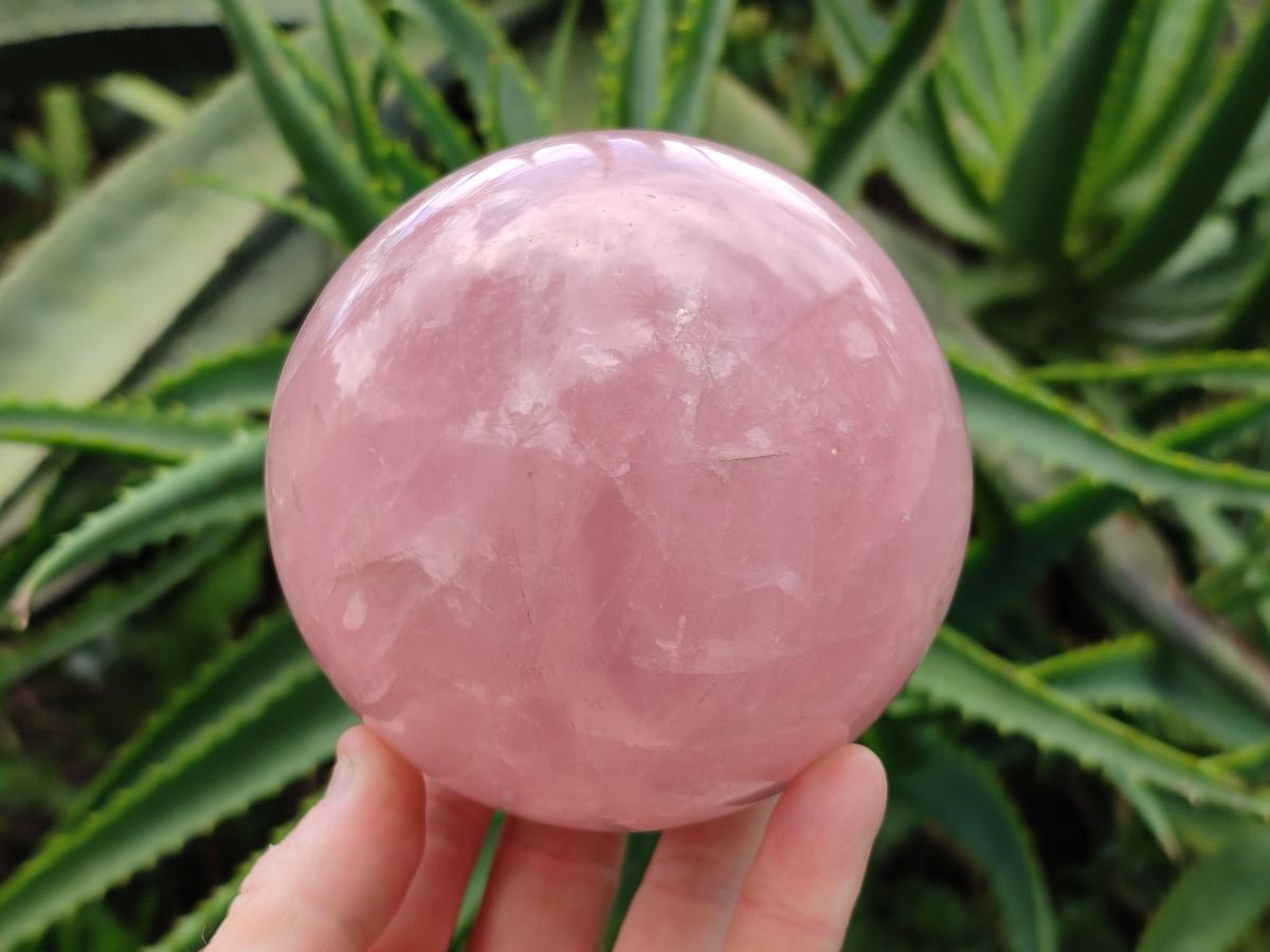 Polished Large Gemmy Star Rose Quartz Sphere x 1 From Madagascar