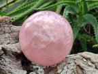 Polished Large Gemmy Star Rose Quartz Sphere x 1 From Madagascar