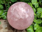 Polished Large Gemmy Star Rose Quartz Sphere x 1 From Madagascar
