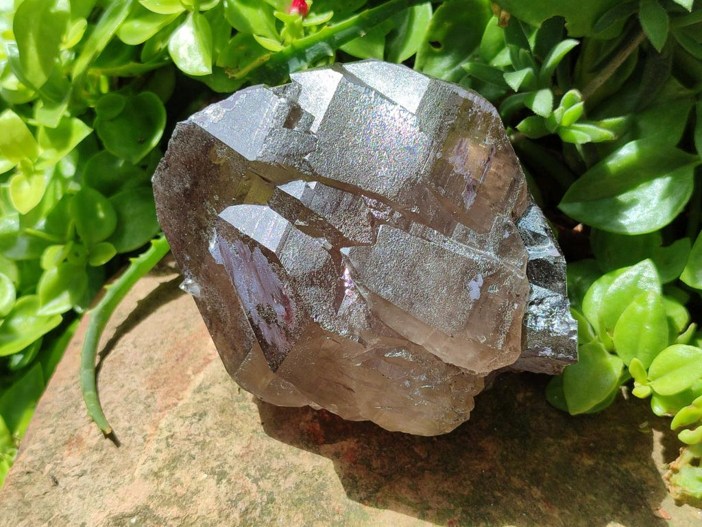 Natural Smokey Quartz Crystals x 4 From Mulanje, Malawi