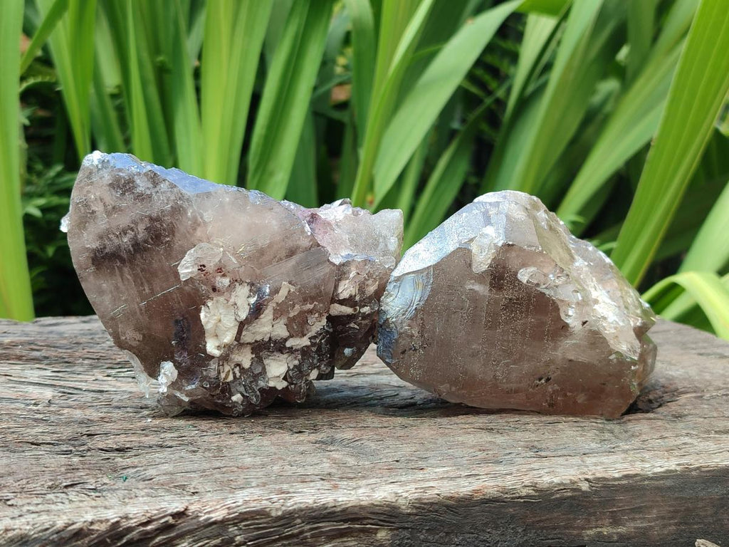 Natural Smokey Quartz Crystals x 4 From Mulanje, Malawi