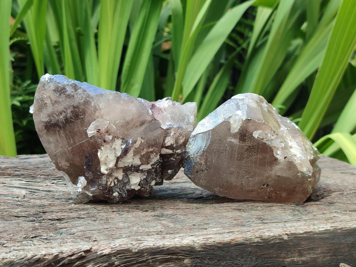 Natural Smokey Quartz Crystals x 4 From Mulanje, Malawi