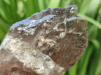 Natural Smokey Quartz Crystals x 4 From Mulanje, Malawi