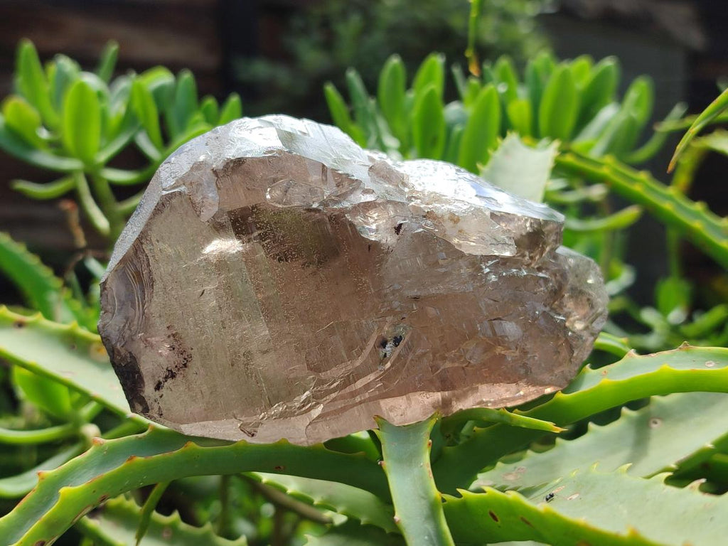 Natural Smokey Quartz Crystals x 4 From Mulanje, Malawi
