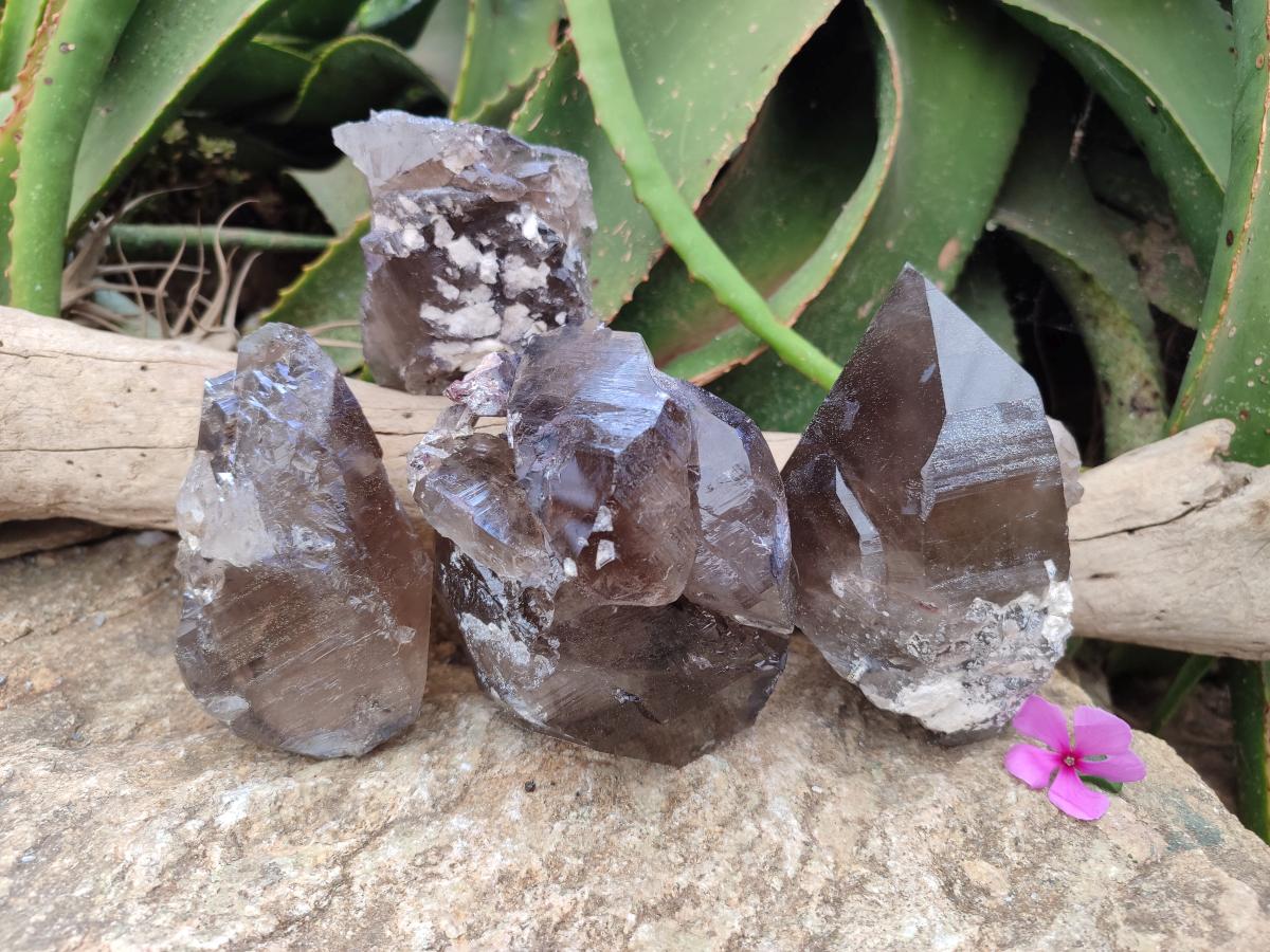 Natural Smokey Quartz Crystals x 4 From Mulanje, Malawi