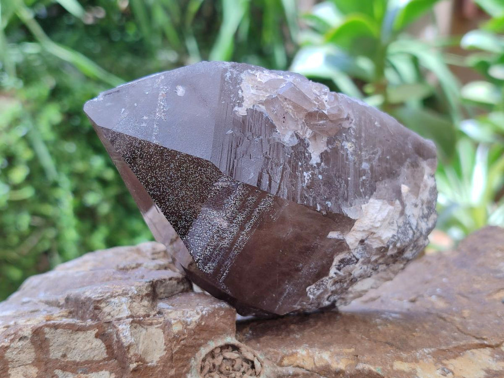 Natural Smokey Quartz Crystals x 4 From Mulanje, Malawi