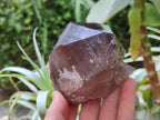 Natural Smokey Quartz Crystals x 4 From Mulanje, Malawi