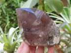 Natural Smokey Quartz Crystals x 4 From Mulanje, Malawi