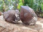 Natural Smokey Quartz Crystals x 4 From Mulanje, Malawi
