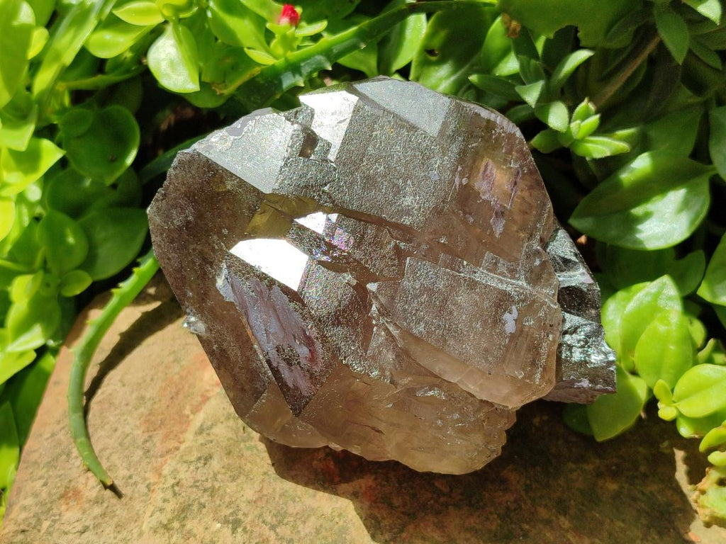 Natural Smokey Quartz Crystals x 4 From Mulanje, Malawi
