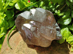 Natural Smokey Quartz Crystals x 4 From Mulanje, Malawi