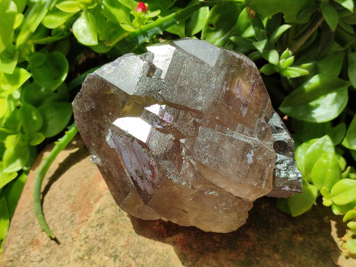 Natural Smokey Quartz Crystals x 4 From Mulanje, Malawi