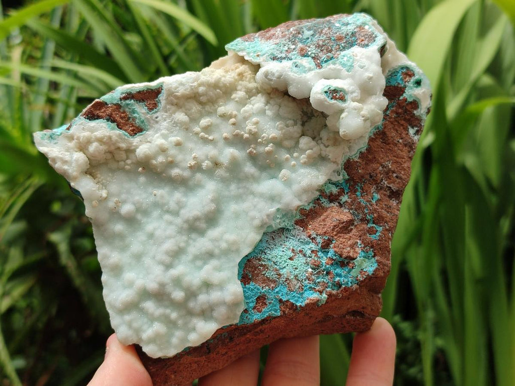 Natural Rare White Hemimorphite with Chrysocolla x 2 From Lupoto Mine, Congo