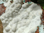 Natural Rare White Hemimorphite with Chrysocolla x 2 From Lupoto Mine, Congo