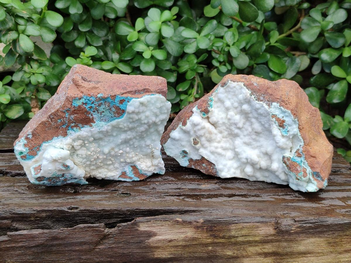Natural Rare White Hemimorphite with Chrysocolla x 2 From Lupoto Mine, Congo