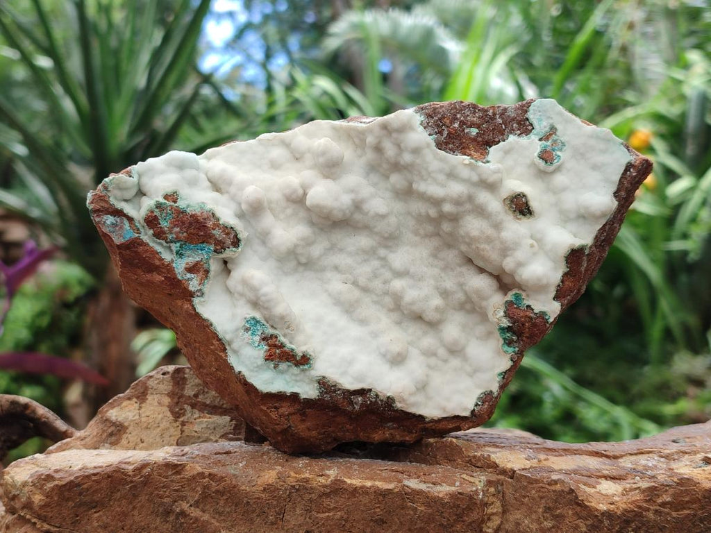 Natural Rare White Hemimorphite with Chrysocolla x 2 From Lupoto Mine, Congo