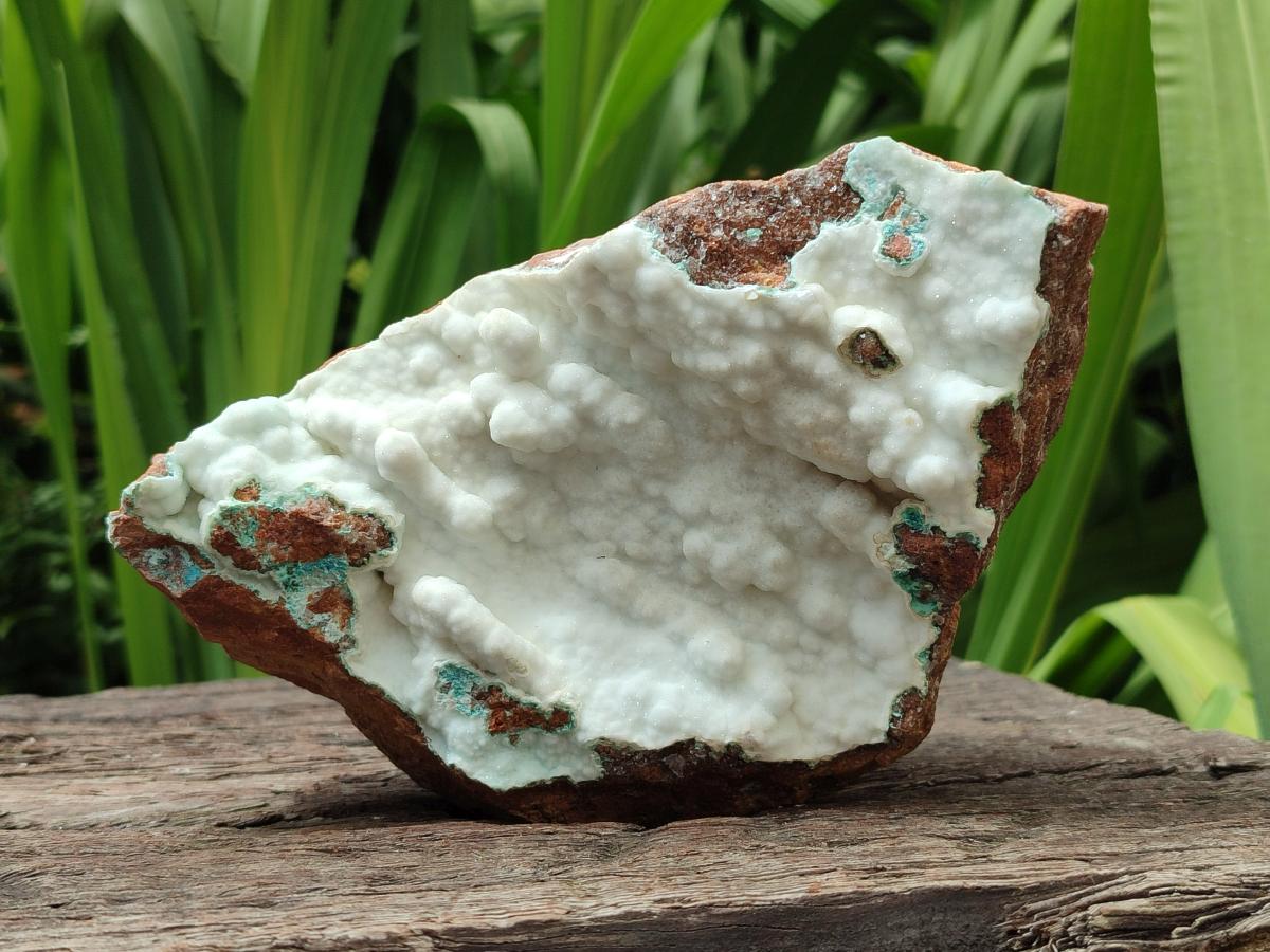 Natural Rare White Hemimorphite with Chrysocolla x 2 From Lupoto Mine, Congo