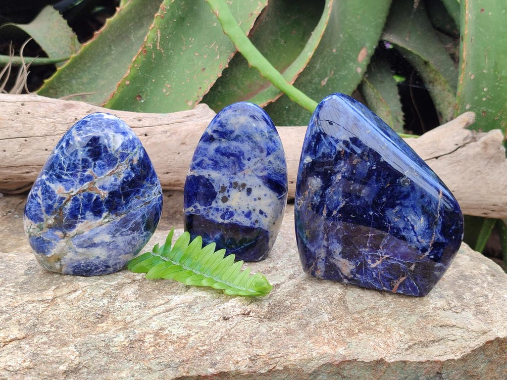 Polished Sodalite Standing Free Forms x 3 From Kunene River, Namibia