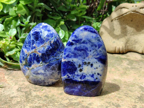 Polished Sodalite Standing Free Forms x 3 From Kunene River, Namibia - Toprock Gemstones and Minerals 
