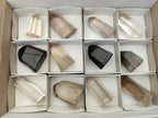 Polished Mix of Smokey Phantom Quartz Crystals x 12 From Madagascar
