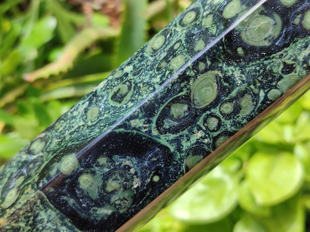 Polished Stromatolite Display Crystals x 2 From Katsepy, Madagascar