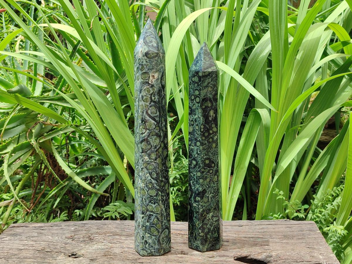 Polished Stromatolite Display Crystals x 2 From Katsepy, Madagascar
