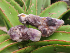 Natural Rare Amethyst Asylum Quartz Clusters x 12 From Luena, Congo