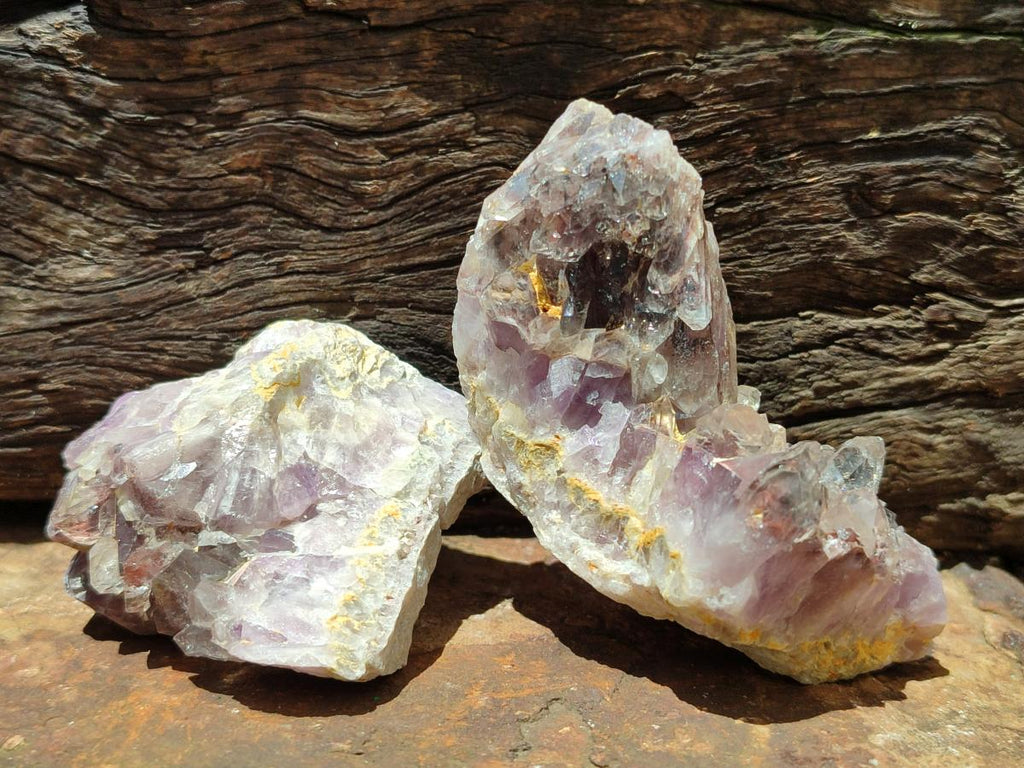 Natural Rare Amethyst Asylum Quartz Clusters x 12 From Luena, Congo