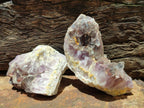 Natural Rare Amethyst Asylum Quartz Clusters x 12 From Luena, Congo
