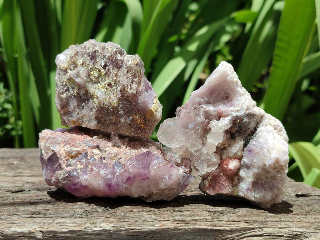 Natural Rare Amethyst Asylum Quartz Clusters x 12 From Luena, Congo