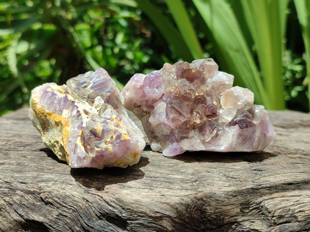 Natural Rare Amethyst Asylum Quartz Clusters x 12 From Luena, Congo