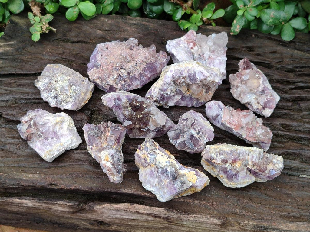 Natural Rare Amethyst Asylum Quartz Clusters x 12 From Luena, Congo